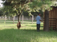 Misha and Dad