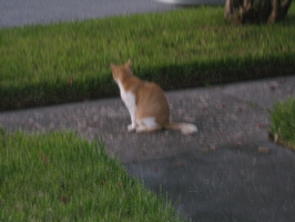 Rob and Spot reunion - 19