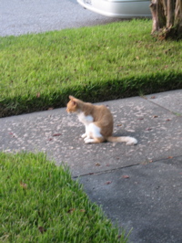 Rob and Spot reunion - 23