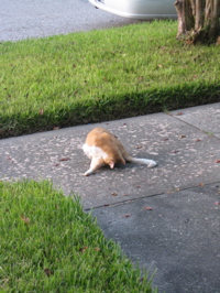 Rob and Spot reunion - 24