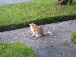 Rob and Spot reunion - 25