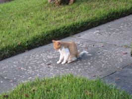 Rob and Spot reunion - 26