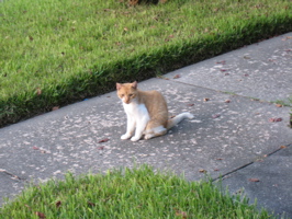 Rob and Spot reunion - 29