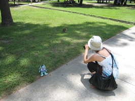 Ami photographing squirrel