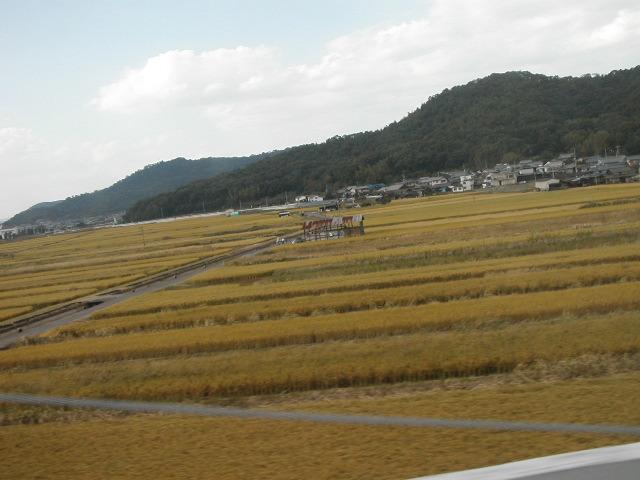 shinkansen