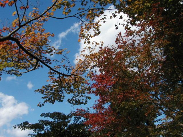 Ginkakuji