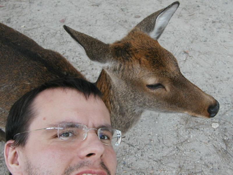 deer in Nara