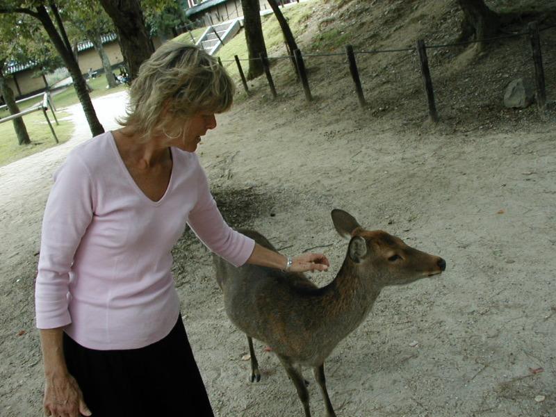 deer in Nara