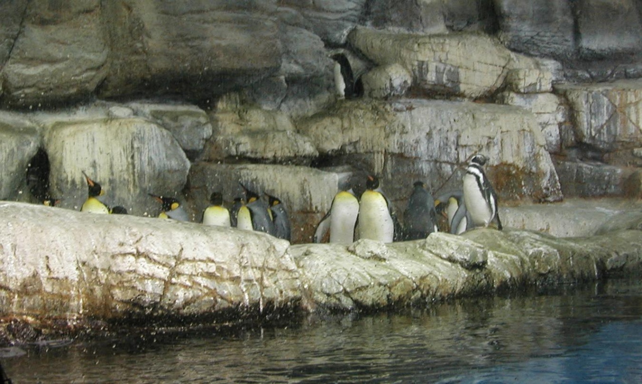 Hakkeijima aquarium