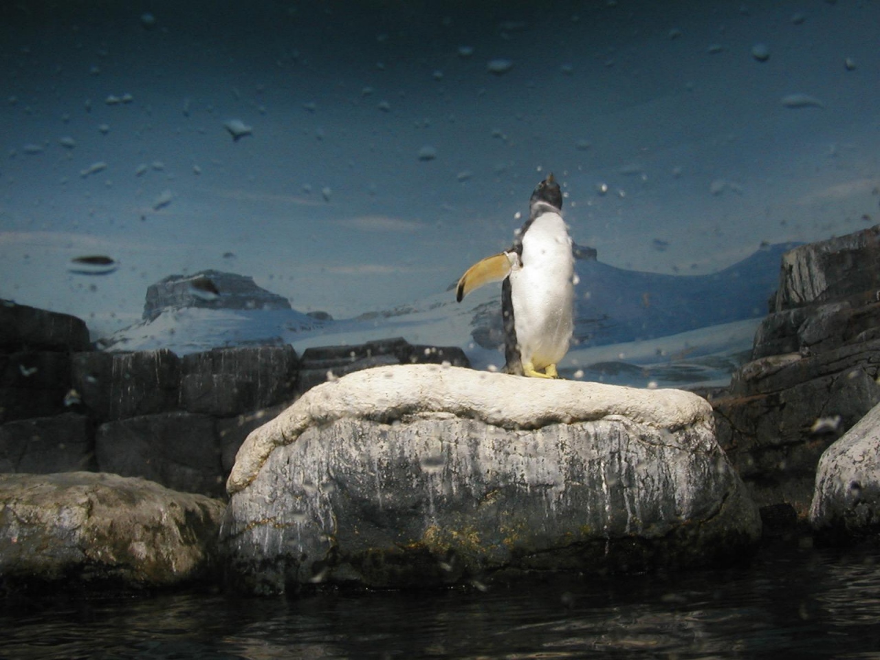 Hakkeijima aquarium