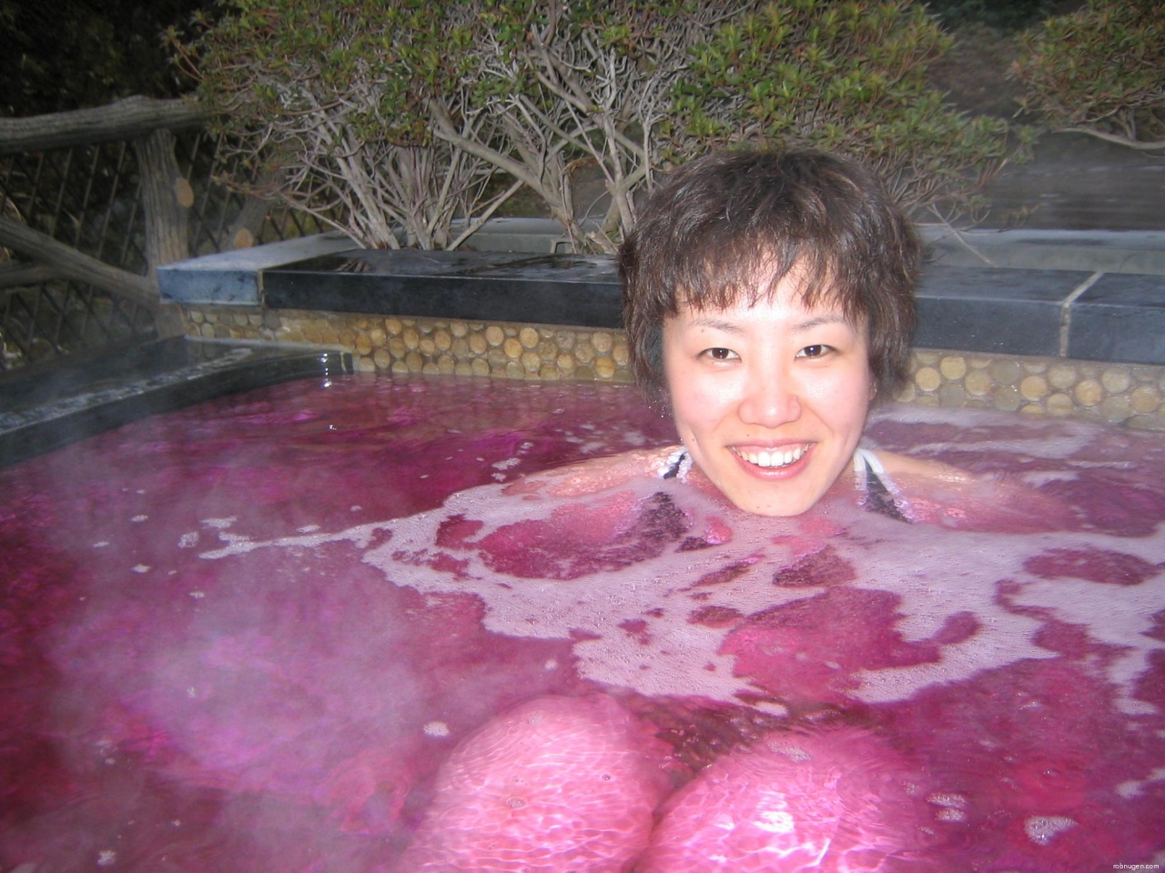 Yu-topia onsen in Hakone