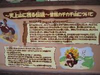 Tanuki story overview