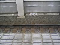 feather on the tracks at Musashi Kosugi station 