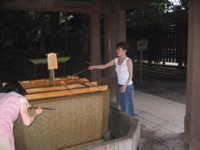 Hitomi purification