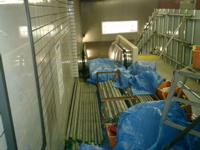 escalator construction 3
