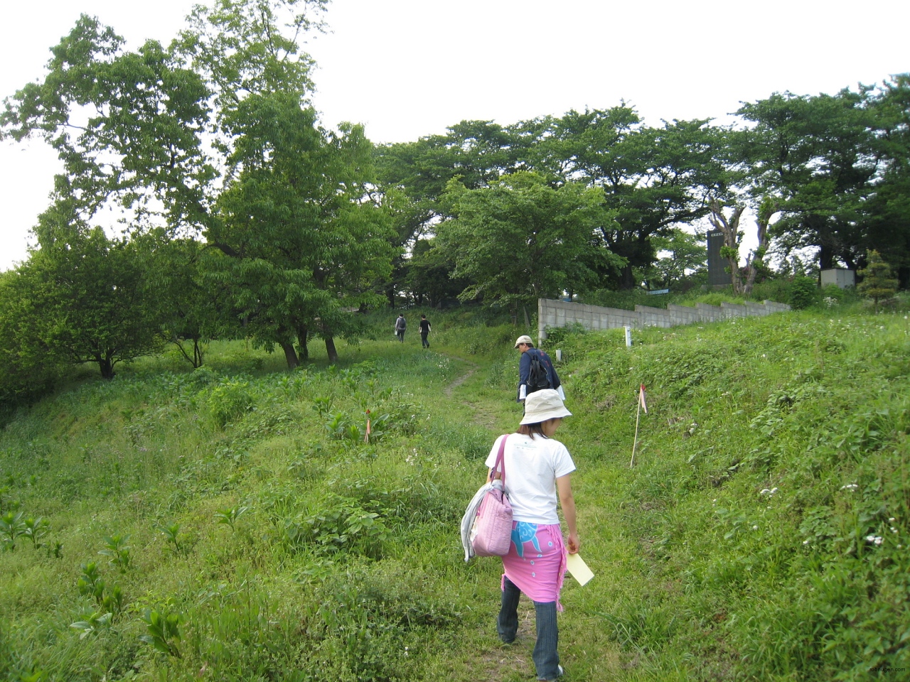 crazy monkeys hiking