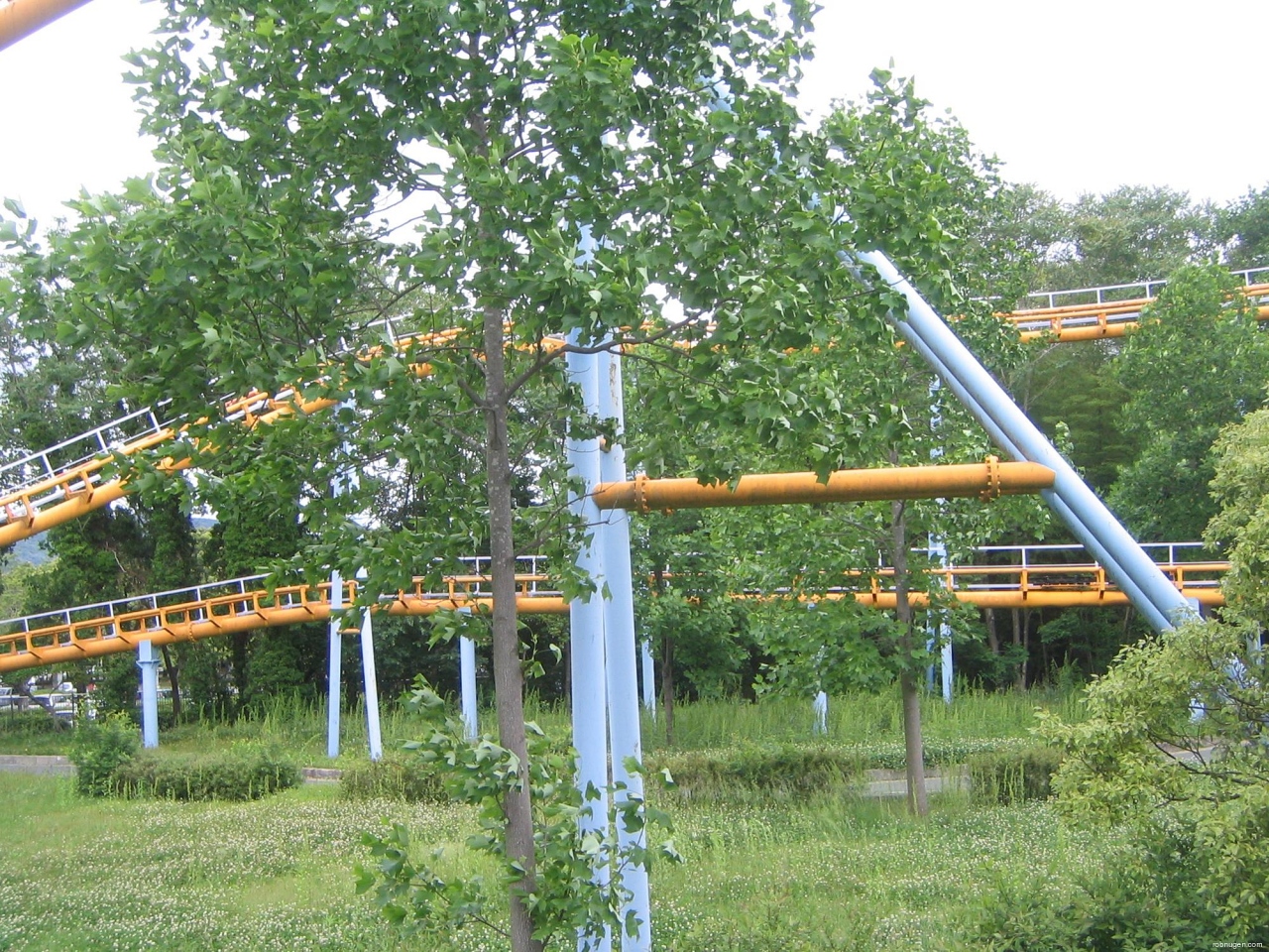 nonhoi coaster - 5