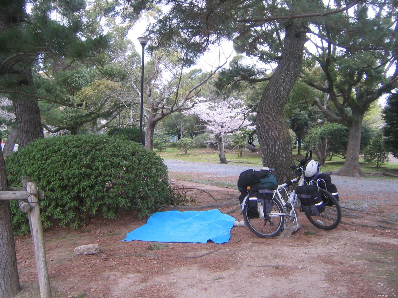 fifth night in Toyohashi Park