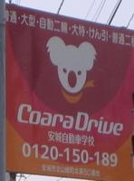 Coara Drive