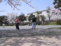 day 2: watching croquet