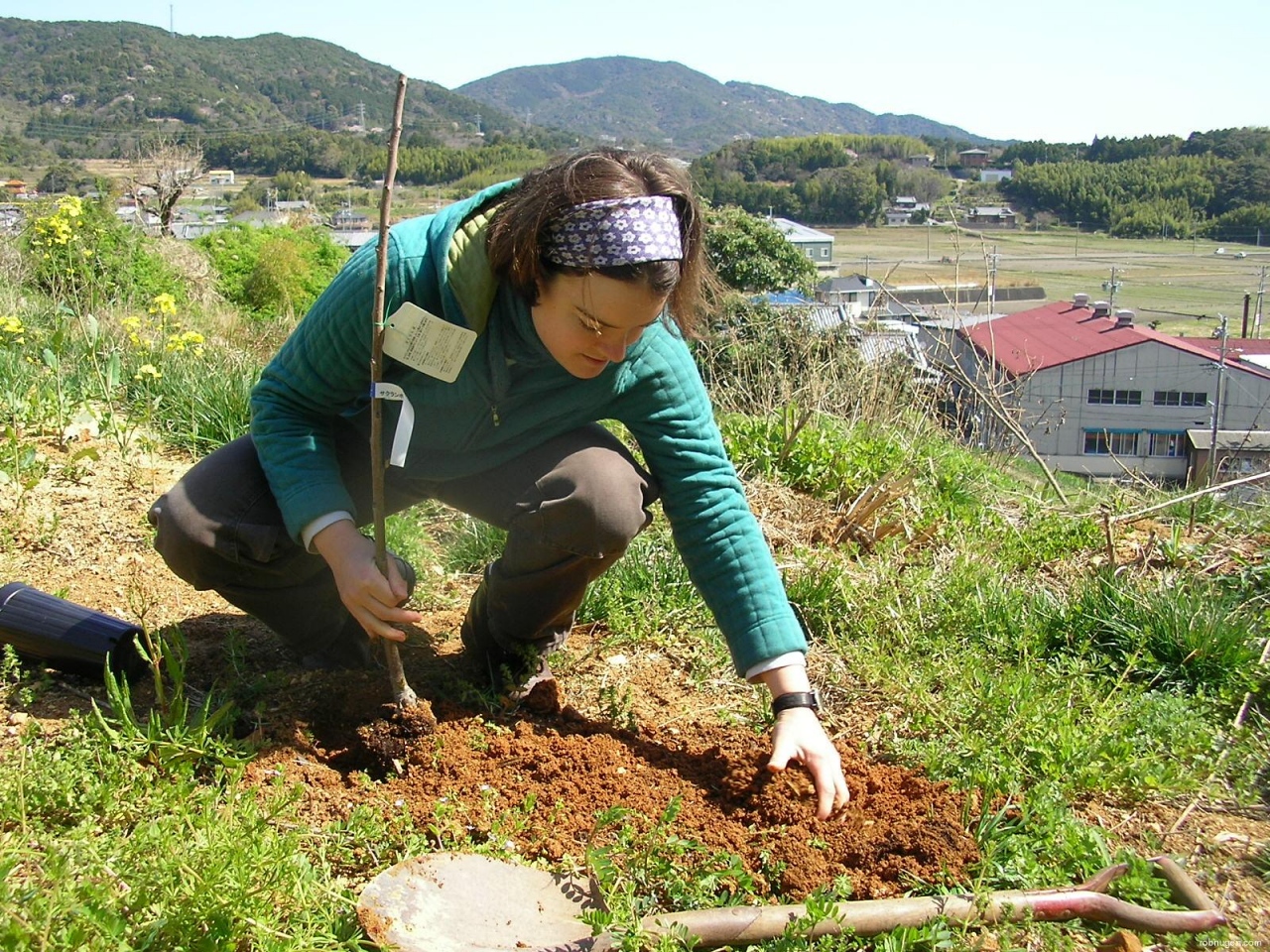 Anne plants a tree - 2