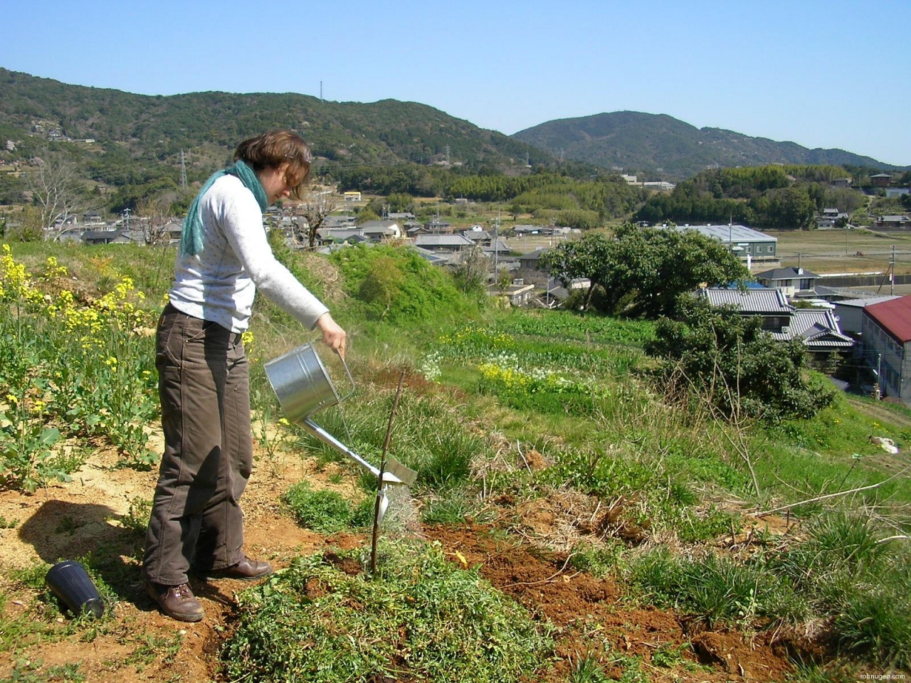 Anne plants a tree - 3