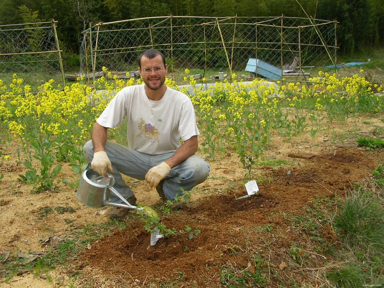 Rob planting something