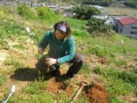 Anne plants a tree - 1