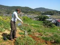 Anne plants a tree - 3