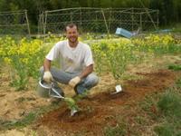 Rob planting something