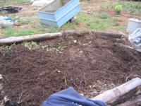 turned over compost pile