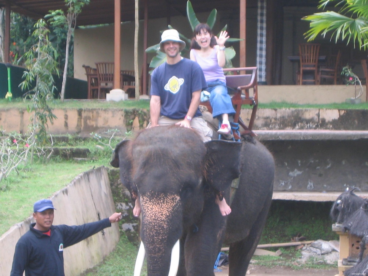 Rob driving Komeng