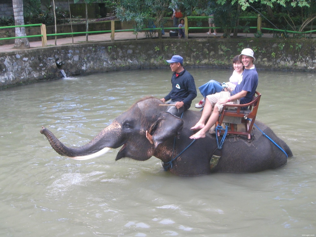 elephant rafting