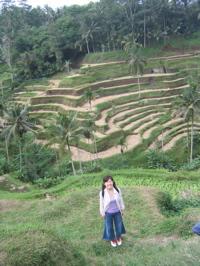 Hitomi at tea terraces