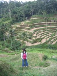 Hitomi overlooks tea terraces