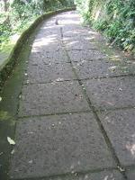 DK's sidewalk