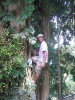 Rob and Francois in tree