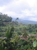 flying Francois