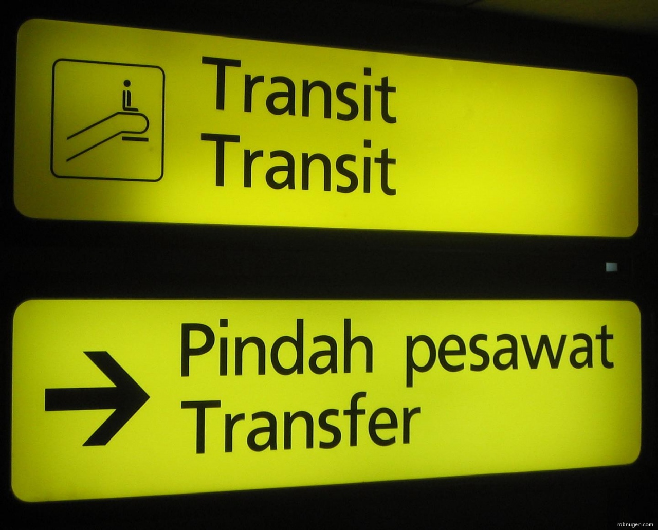 transit translation